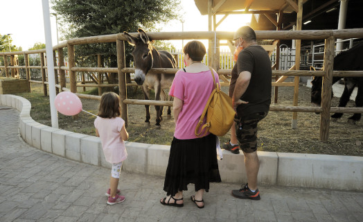 Fattoria degli Animali