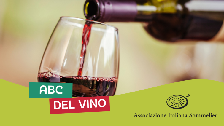 L'ABC del Vino: scoprilo con i tuoi sensi