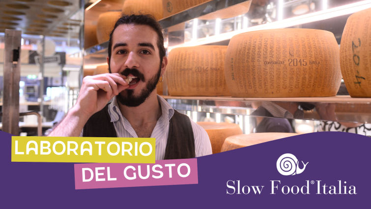 Laboratorio del gusto 